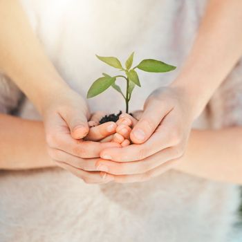 Preserve life. unrecognizable girls holding a plant outside