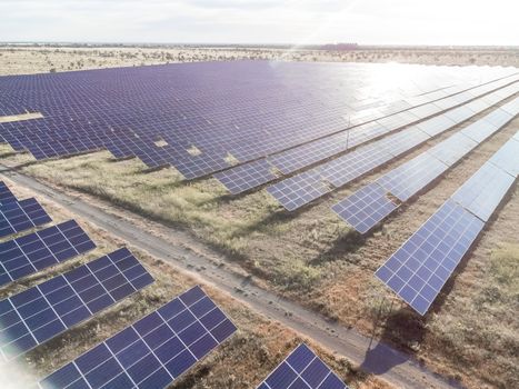 Aerial top view of a solar panels power plant. Photovoltaic solar panels at sunrise and sunset in countryside from above. Modern technology, climate care, earth saving, renewable energy concept