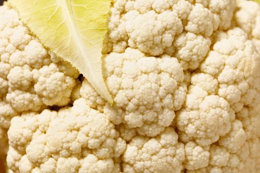 Detail of fresh white cauliflower 