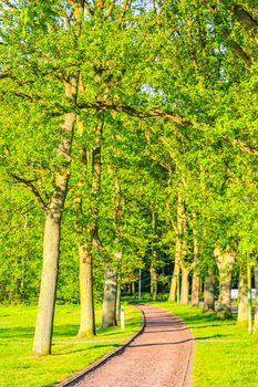 Natural beautiful panorama view with pathway and green plants trees in the forest of Speckenbütteler Park in Lehe Bremerhaven Germany.