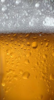 Golden chilled beer with condensation on the glass wall and white foam.Texture or background. Macrophotography