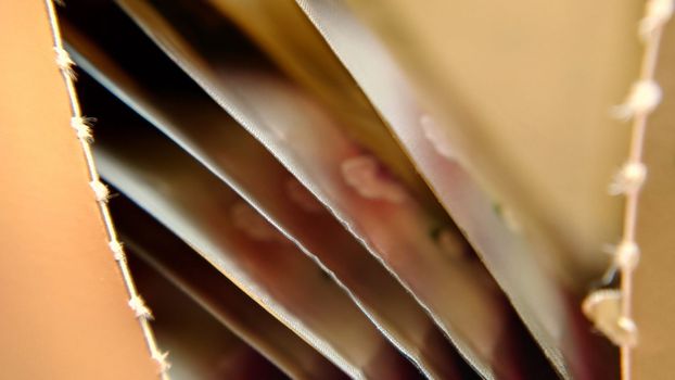 An open package with golden tea bags . Macrophotography.Texture or background.Selective focus.