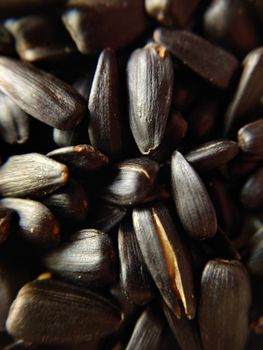 A handful of black sunflower seeds is a selective focus.Macro photography.Texture or background.Selective focus.