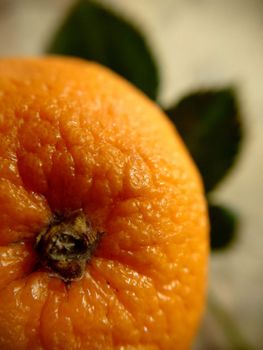 Top view of an orange with leaves in a large plane.Macro photography.Texture or background.Selective focus.