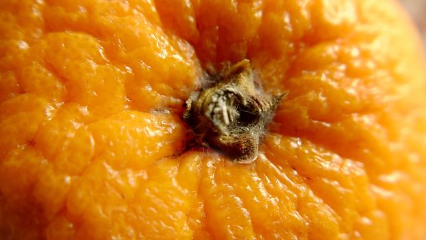 A close-up view of an orange from above.Macro photography.Texture or background.Selective focus.