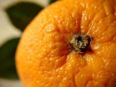 A close-up view of an orange with green leaves from above.Macro photography.Texture or background.Selective focus.