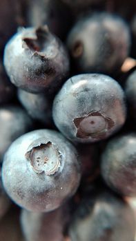 Background texture of garden ripe blueberries close-up.Macro photography.Texture or background.Selective focus.