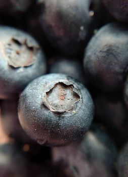 Selective focus of garden ripe blueberries close-up.Macro photography.Texture or background.