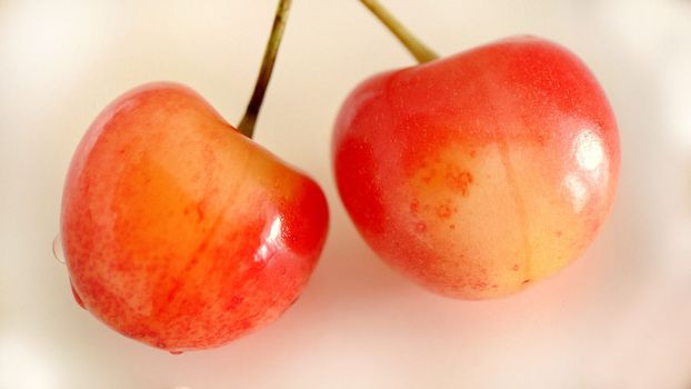 Two yellow-red cherries on a light background close-up.Macro photography.Texture or background.Selective focus.