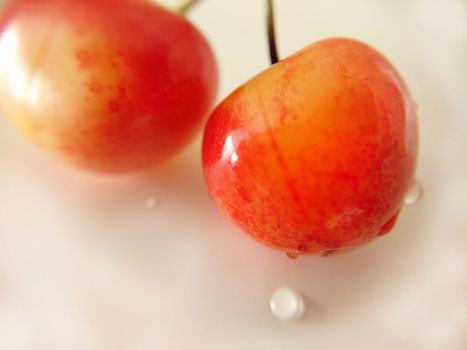 Two yellow-red cherries close-up.Macro photography.Texture or background.Selective focus.