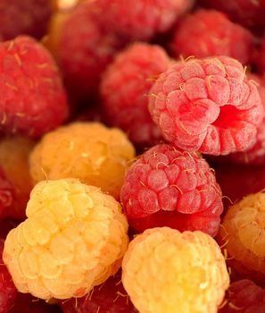 A bunch of ripe red and yellow raspberries of selective focus.Macro photography.Texture or background.Selective focus.