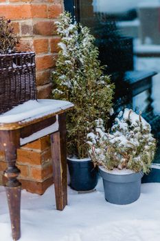 Natural christmas decoration with branches in rattan basket and pine tree in plant pot, decorating entrance store in winter snowy season - christmas holidays and city market shop
