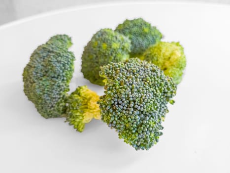 Broccoli sprig on colored background, asparagus cabbage isolated. Perfect Sprig of Fresh Broccoli.