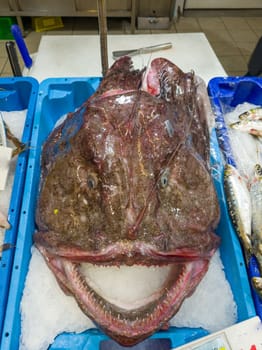 Fresh monkfish on the counter on the fish market