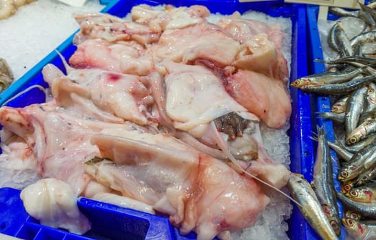 Variety of sea fishes on the counter in a greek fish shop.