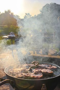 Preparing Barbeque BBQ Campfire and sausages meat steak chicken in Speckenbütteler Park Lehe Bremerhaven Bremen Germany.