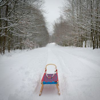 Winter background in nature with sled. Trees and snowy landscape during outdoor activities in winter.