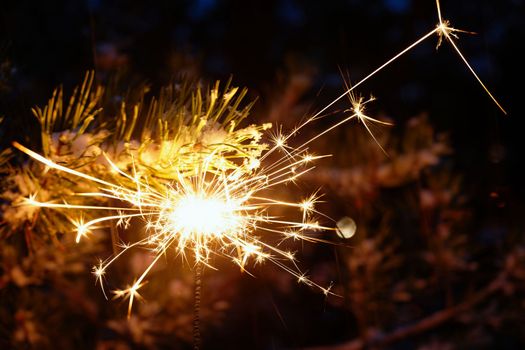 Christmas background. A sparkler on a Christmas tree in the evening outside with snow. Concept for winter season, holidays and new year 2023.