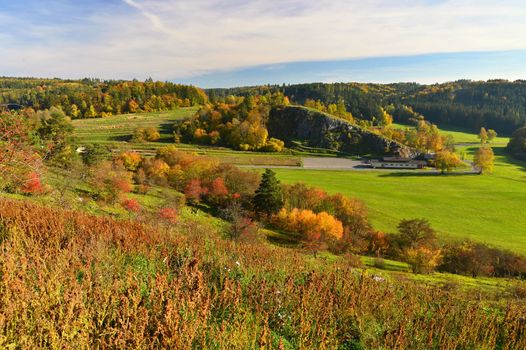 Autumn landscape. Beautiful colorful leaves in nature with the sun. Seasonal concept outdoors in autumn park.