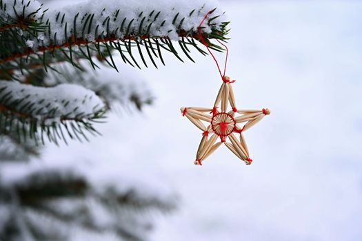 Christmas background. Beautiful decoration for the winter holidays and the Advent period. Decorated Christmas tree.