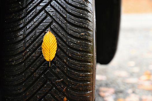 Tires with leaves and car on wet road in autumn season. Foggy and dangerous driving - concept for traffic and road safety.