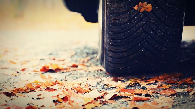 Tires with leaves and car on wet road in autumn season. Foggy and dangerous driving - concept for traffic and road safety.