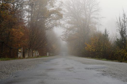 Road in autumn. Foggy and dangerous car driving in the winter season. Bad weather with rain and traffic on the road. Concept for traffic and road safety.