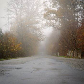 Road in autumn. Foggy and dangerous car driving in the winter season. Bad weather with rain and traffic on the road. Concept for traffic and road safety.