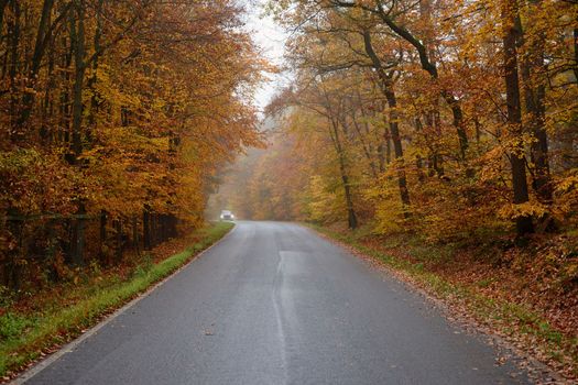 Road in autumn. Foggy and dangerous car driving in the winter season. Bad weather with rain and traffic on the road. Concept for traffic and road safety.