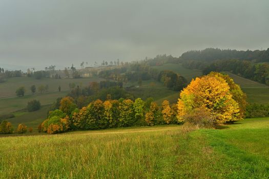 Beautiful autumn landscape with colorful trees. Nature background with fog and rural landscape.