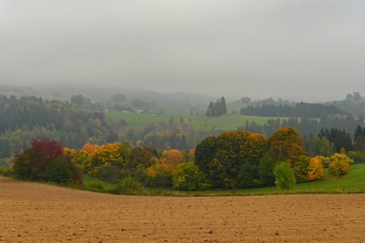 Beautiful autumn landscape with colorful trees. Nature background with fog and rural landscape.