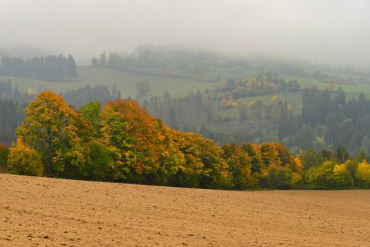 Beautiful autumn landscape with colorful trees. Nature background with fog and rural landscape.