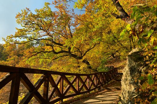 Autumn time. Beautiful landscape with colorful trees. Outdoor natural background for fall time.