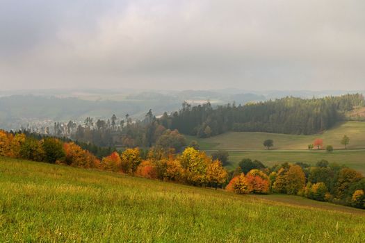 Beautiful autumn landscape with colorful trees. Nature background with fog and rural landscape.