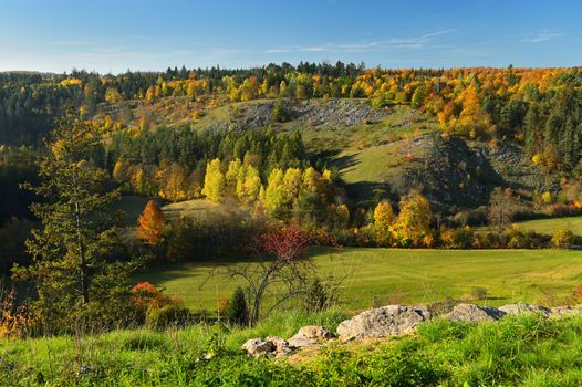 Beautiful autumn nature with landscape in the Czech Republic. Colorful trees with blue sky and sun. Background for fall and environment.