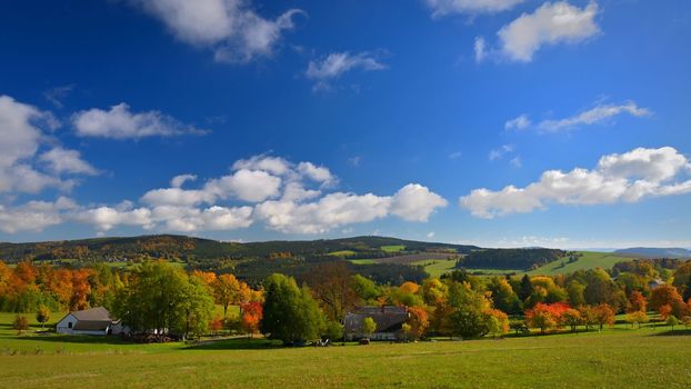 Beautiful autumn nature with landscape in the Czech Republic. Colorful trees with blue sky and sun. Background for fall and environment.