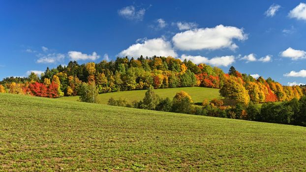 Autumn landscape. Beautiful colorful nature in autumn time. Czech Republic - seasonal background