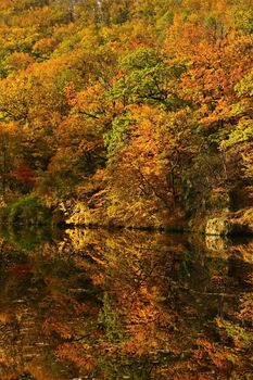 Autumn time. Beautiful landscape with colorful trees. Outdoor natural background for fall time.