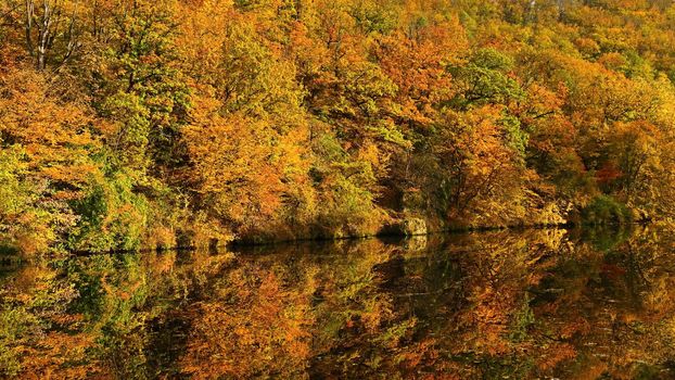 Autumn time. Beautiful landscape with colorful trees. Outdoor natural background for fall time.