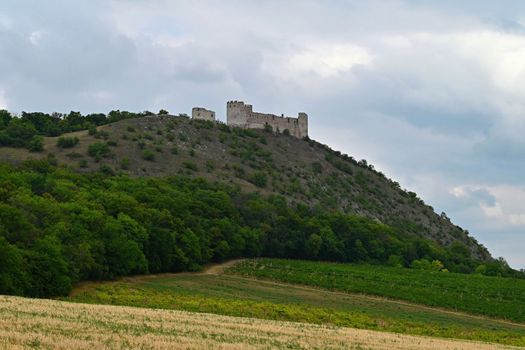 South Moravia - Palava - wine region in the Czech Republic. Ruins of an old castle. (Devicky-divci castle)