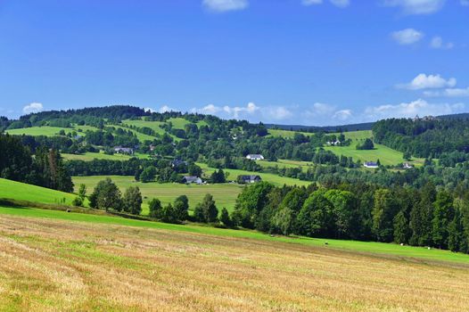 Beautiful summer landscape with nature. Meadow with forest and blue sky on a sunny day. Highlands - Czech Republic.