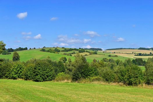 Beautiful summer landscape with nature. Meadow with forest and blue sky on a sunny day. Highlands - Czech Republic.