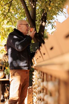 Senior man smelling apples while standing near farmers food market stand with variety of fresh pesticide free fruits and vegetables. Elderly male customer buying locally grown organic produce