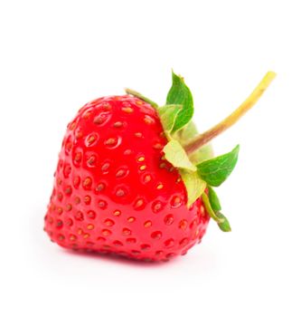 Single organic garden strawberry on white background