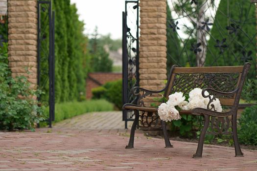 Garden bench surrounded by lush spring vegetation