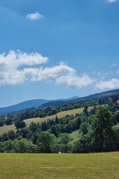 Green mountainside and forests on a sunny day