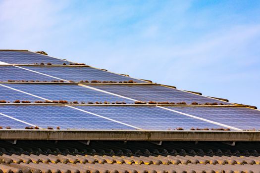 In order to maintain power generation, PV systems must be regularly cleaned of dust and moss