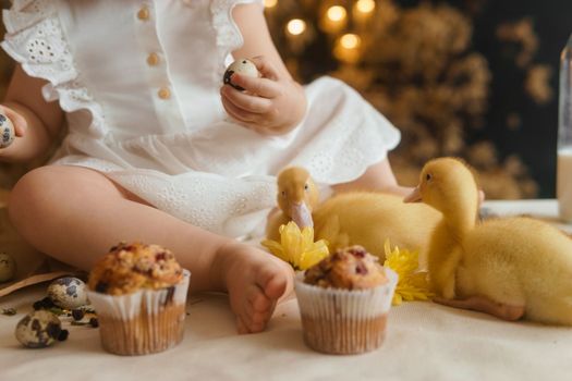 Cute fluffy ducklings on the Easter table with quail eggs and Easter cupcakes, next to a little girl. The concept of a happy Easter.