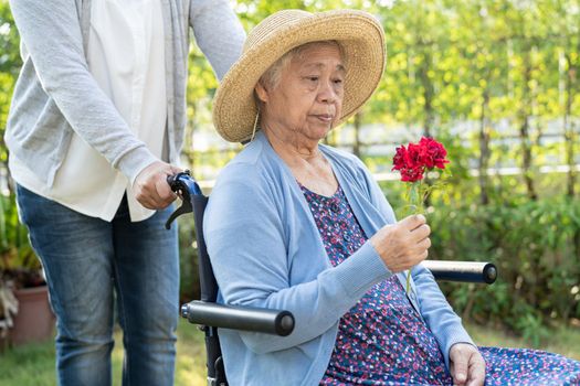 Asian senior or elderly old lady woman holding red rose on wheelchair in park.