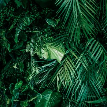 Tropical leaves as nature and environmental background, botanical garden and floral backdrop, plant growth and landscape design.